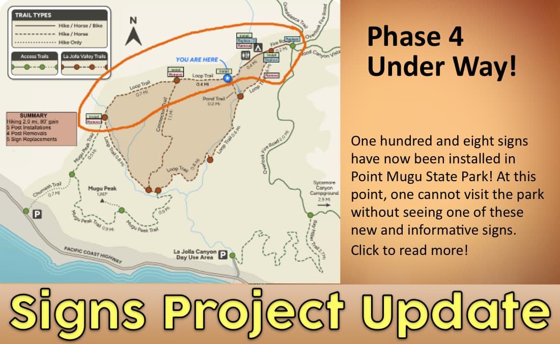 Signs Project Update