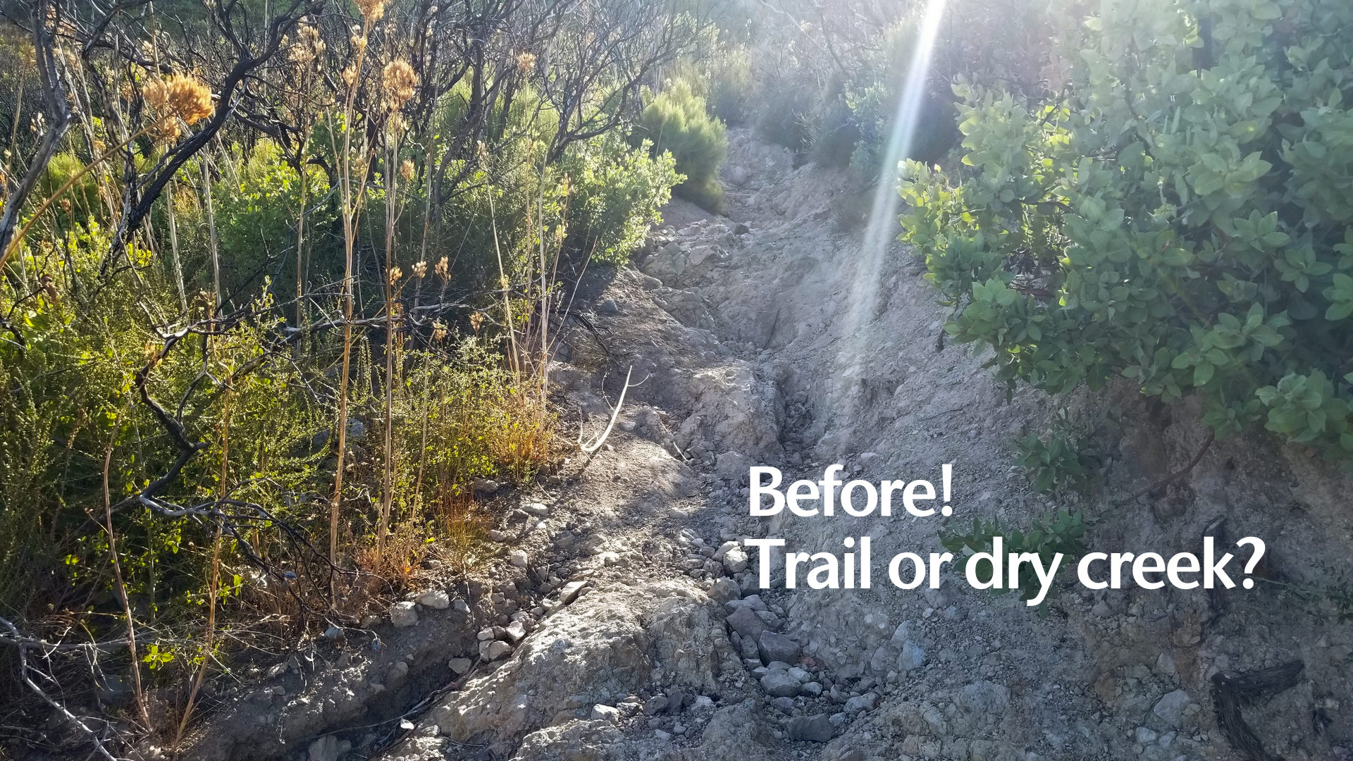 trail work image