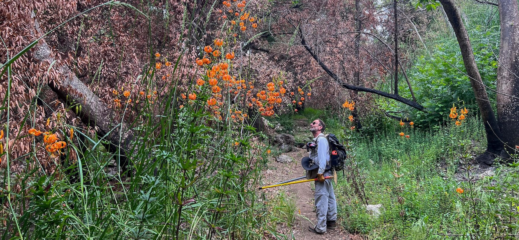 image of trail crew volunteers