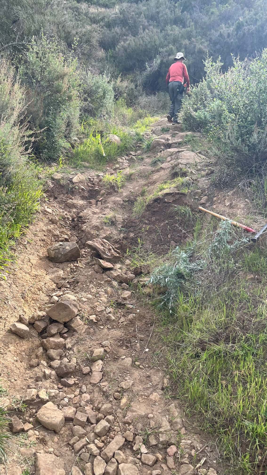 Our crew at work. image from our trail work event