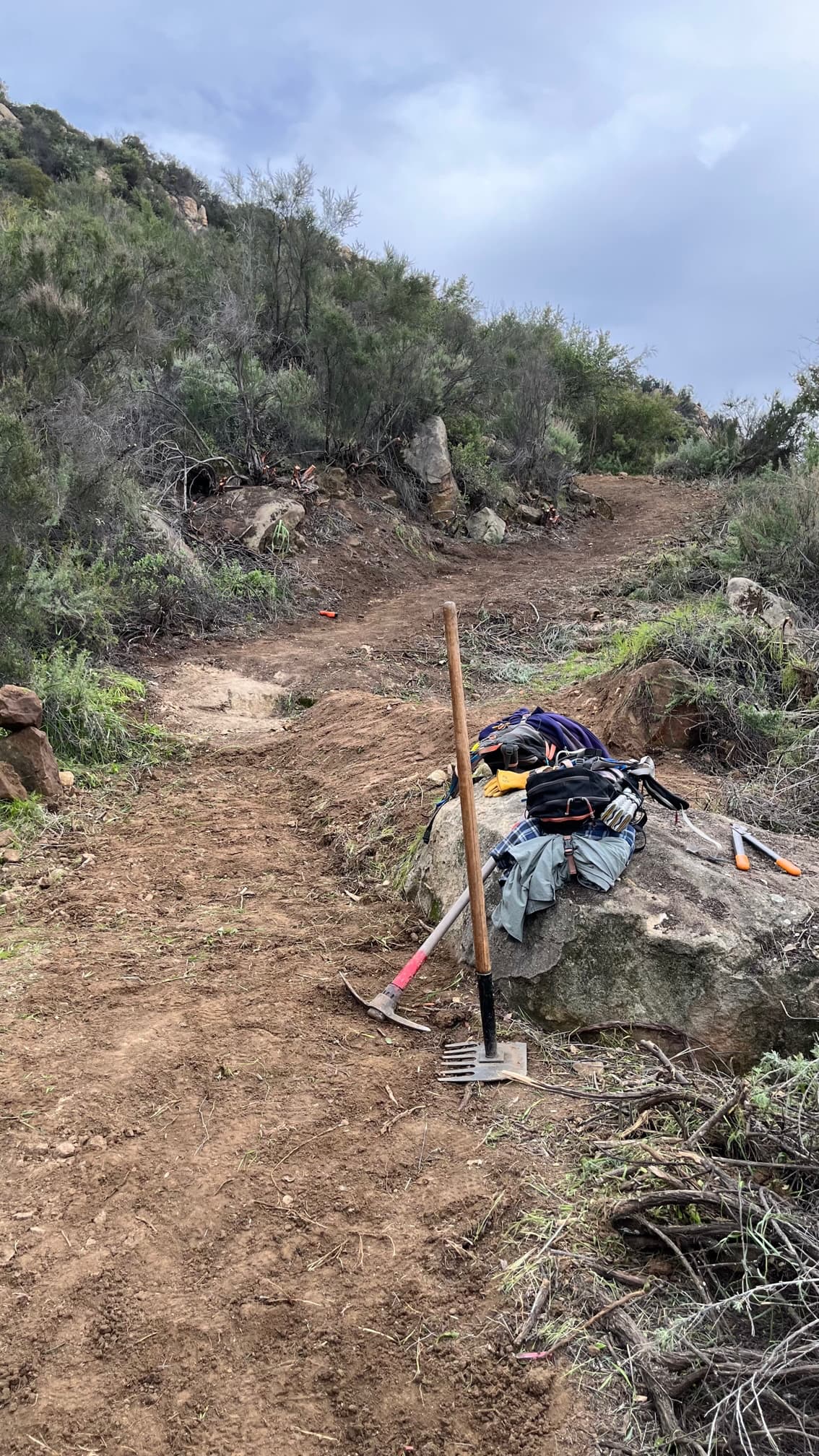 Our crew at work. image from our trail work event