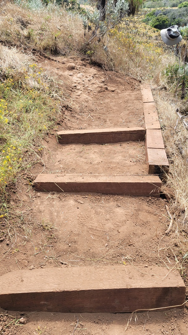 Our crew at work. image from our trail work event