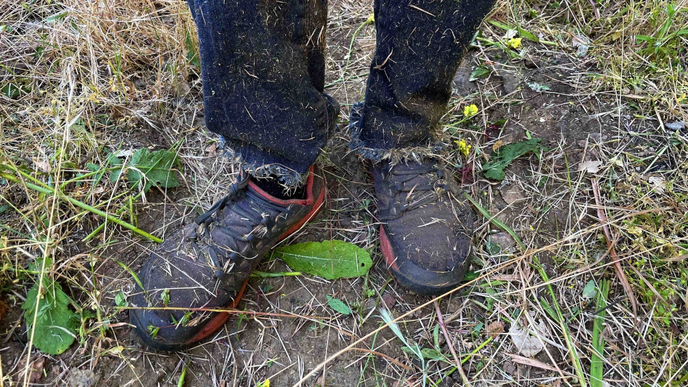 Our crew at work. image from our trail work event
