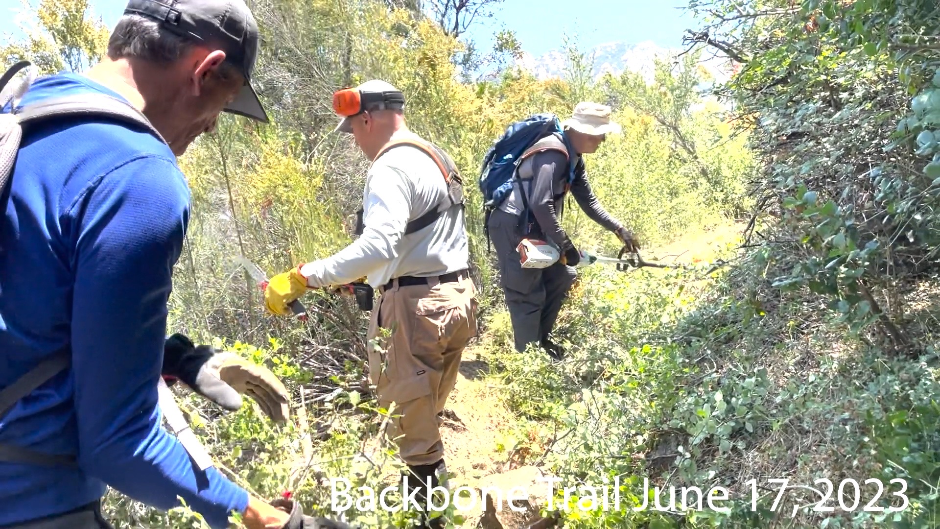 Our crew at work. image from our trail work event
