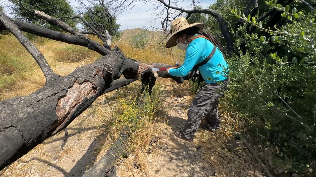 Our crew at work. image from our trail work event