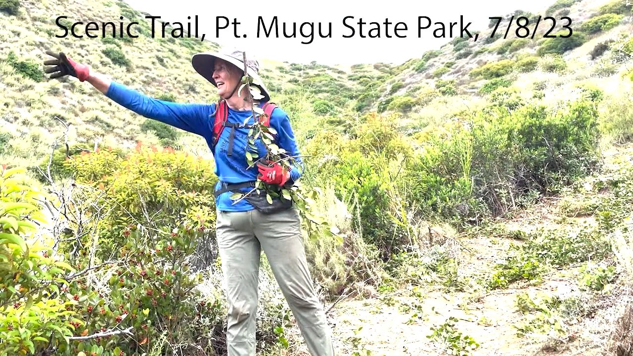 Our crew at work. image from our trail work event