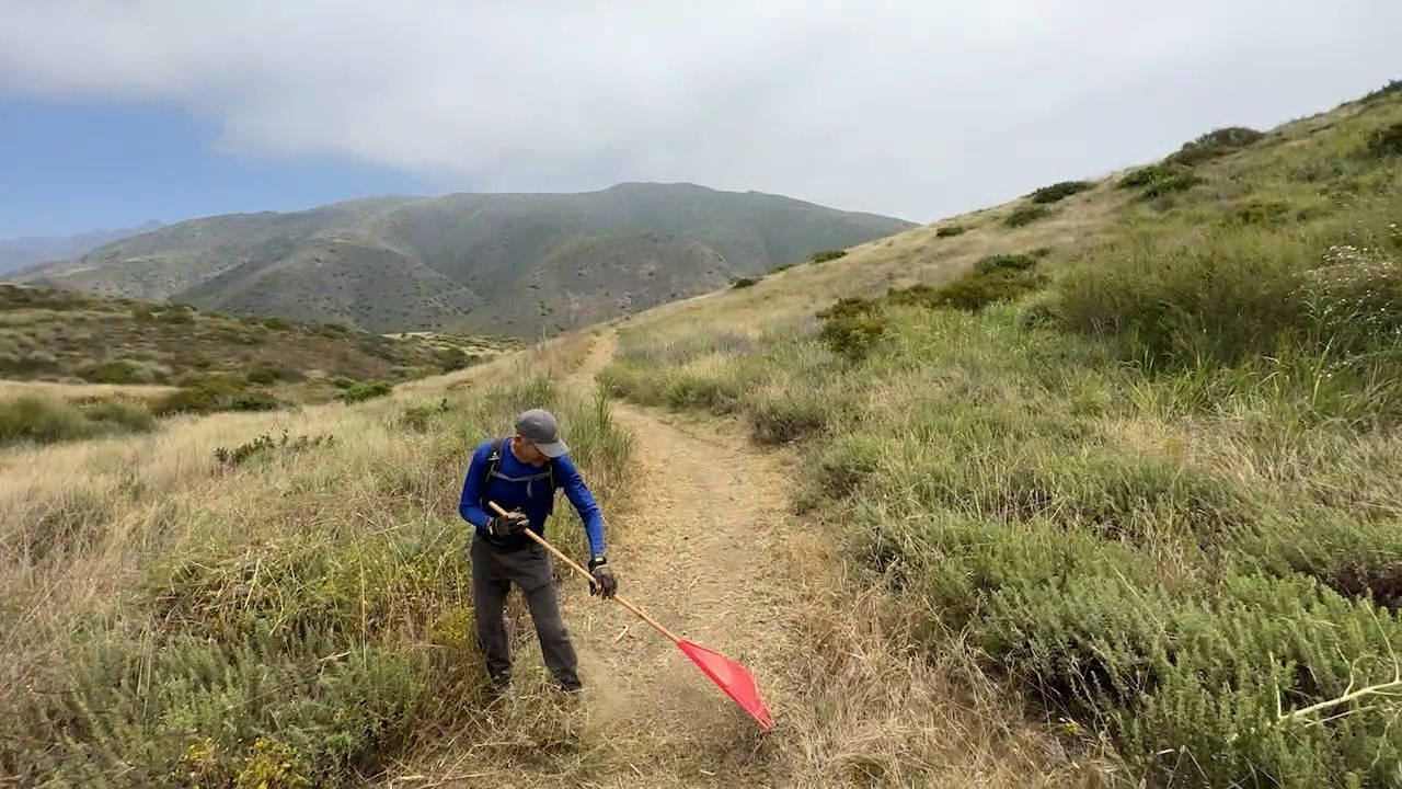 Our crew at work. image from our trail work event