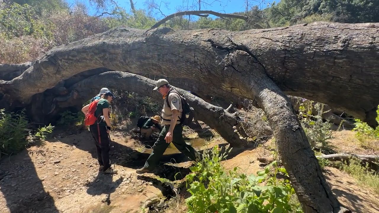 Our crew at work. image from our trail work event